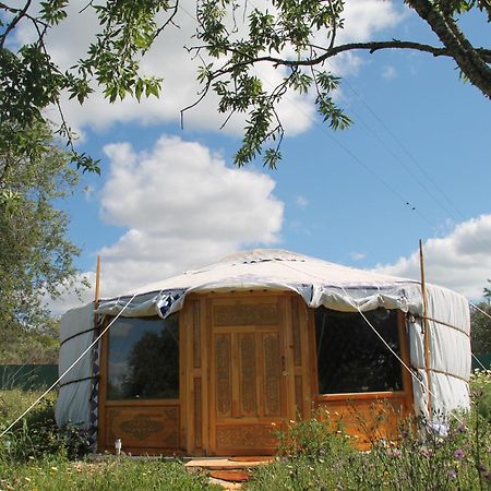 Tiny House Eco Resort Estevais Zewnętrze zdjęcie