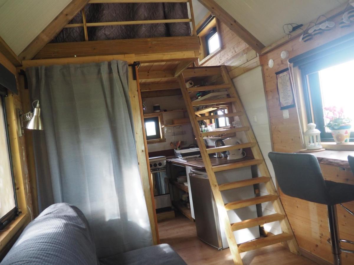 Tiny House Eco Resort Estevais Zewnętrze zdjęcie