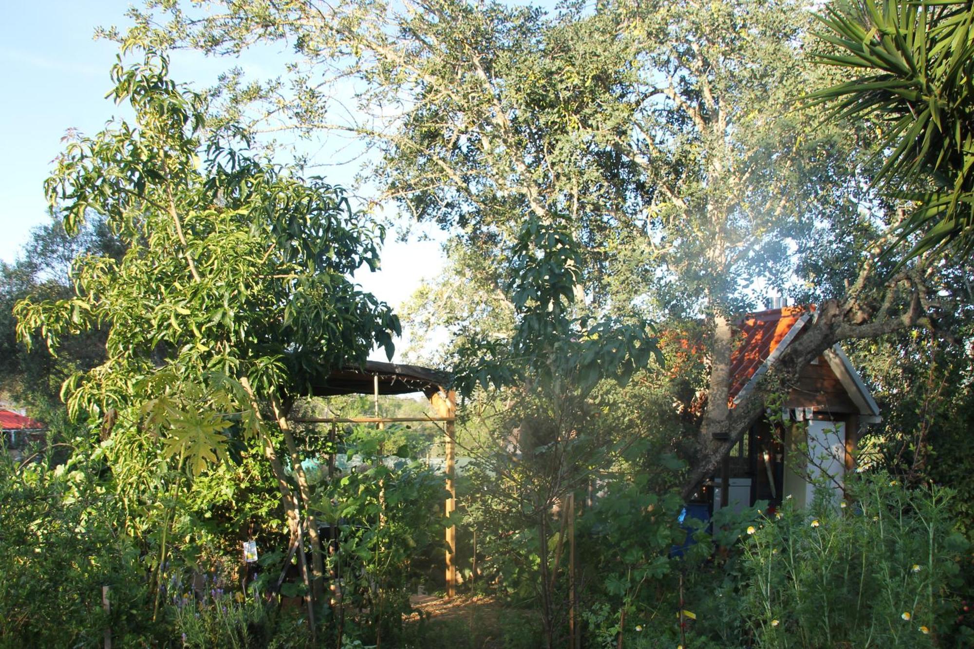 Tiny House Eco Resort Estevais Zewnętrze zdjęcie
